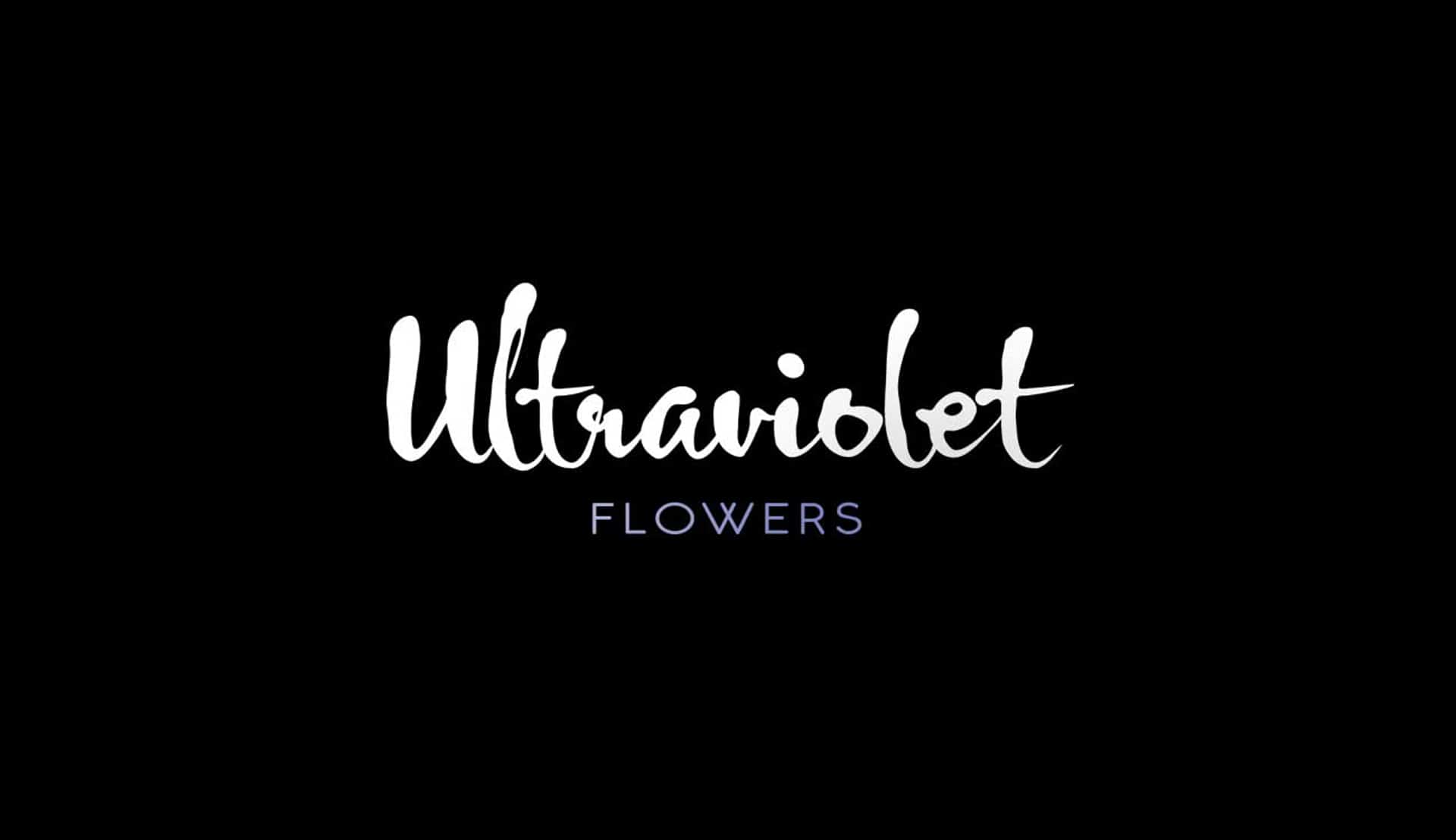 TrueOutput - Ultraviolet Flowers